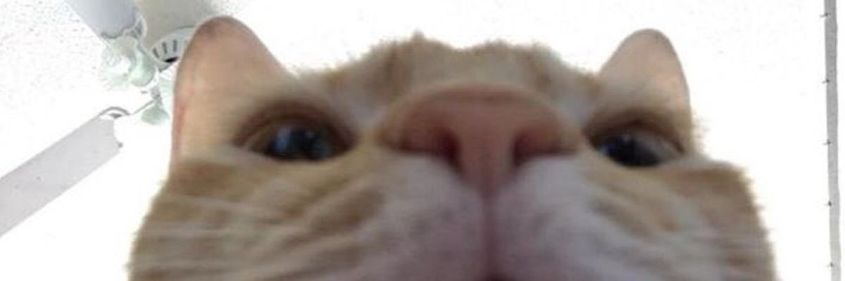 lauraortizz2323's profile banner image