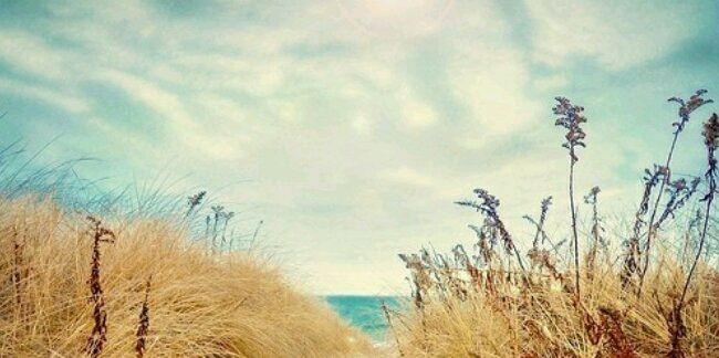 MorganBledsoe's profile banner image