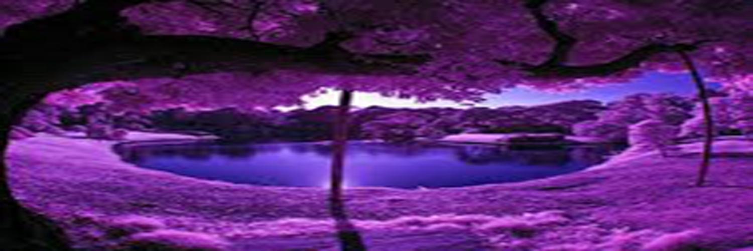 giala's profile banner image