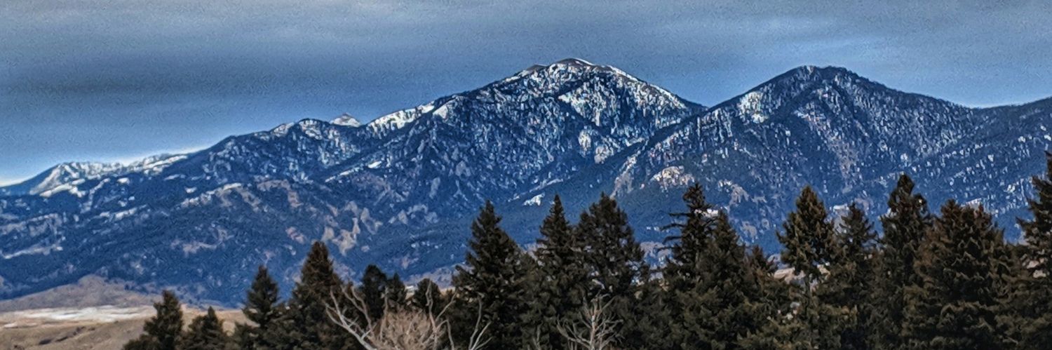 Mike Veselik banner