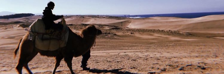 1_pullicore's profile banner image