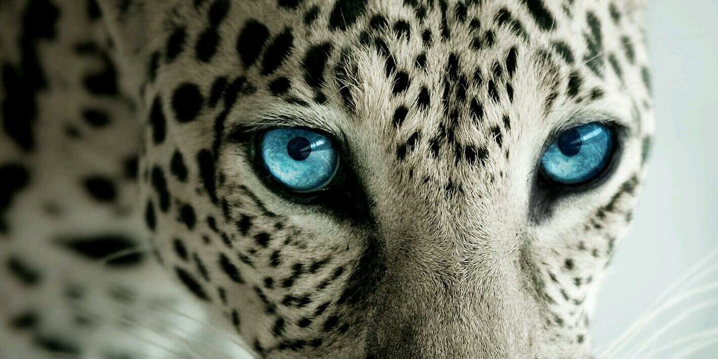 Cintia_Gar's profile banner image