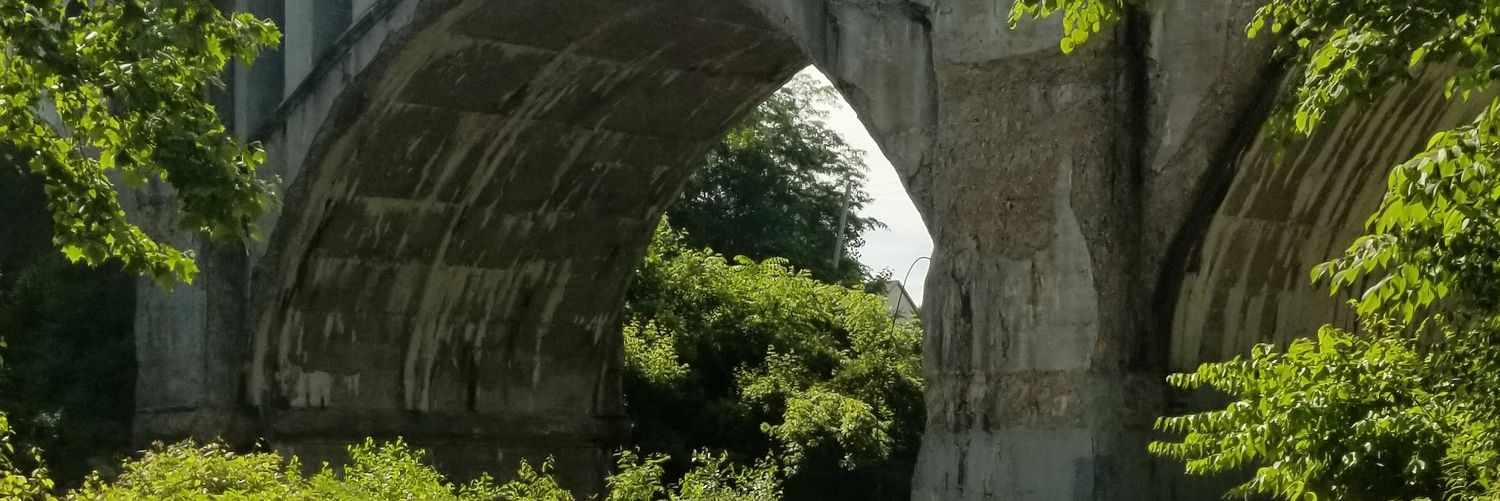 MechellePolter's profile banner image