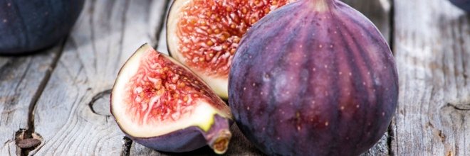 EdibleLifeinYYC's profile banner image