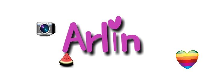 lilinx24's profile banner image