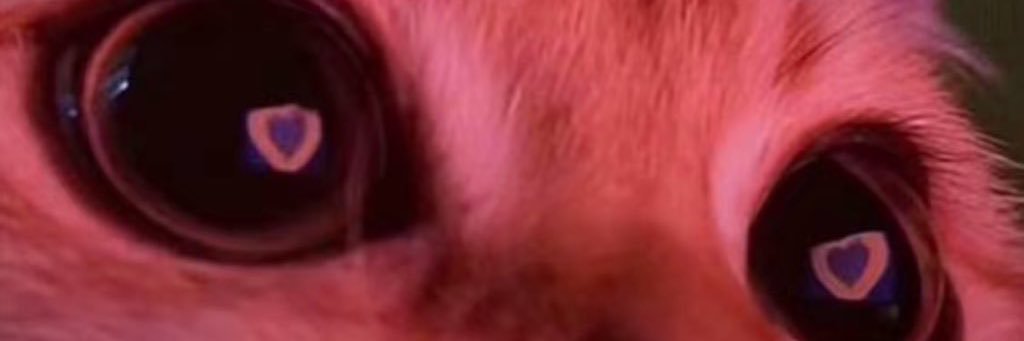 sweater weather papillon banner