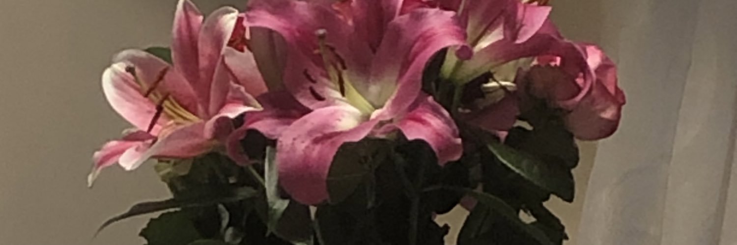 danielamcpm's profile banner image