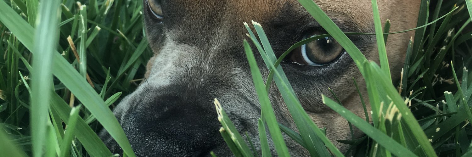 AndrewC_4's profile banner image