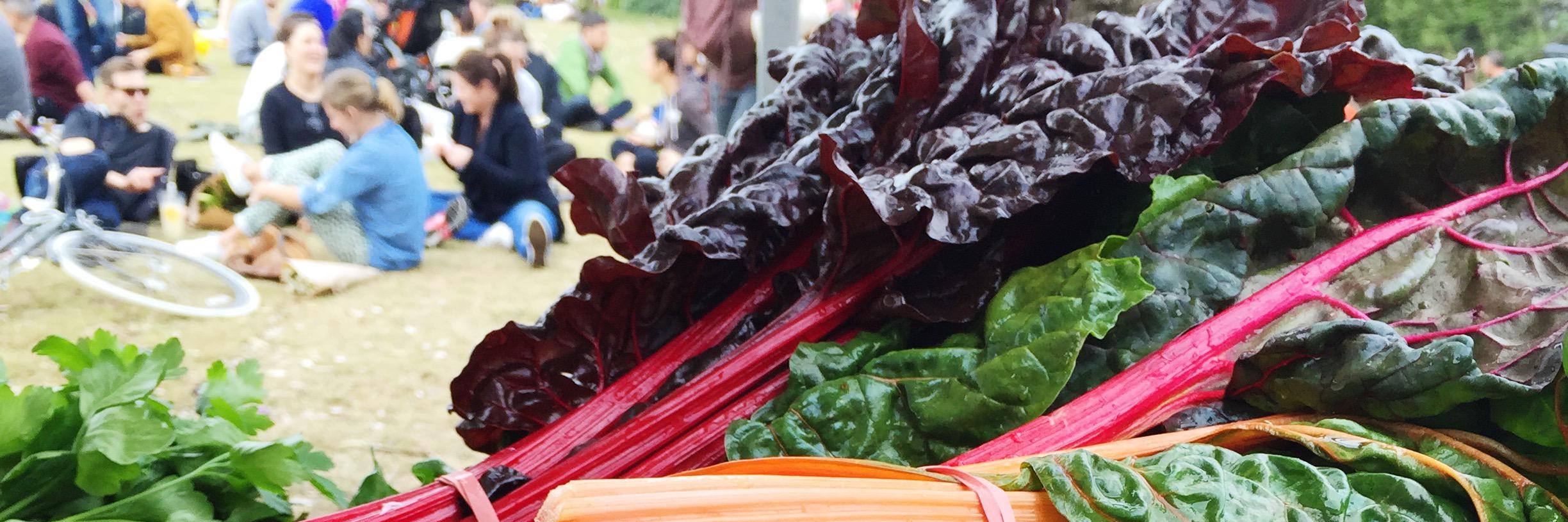 BondiFarmers's profile banner image