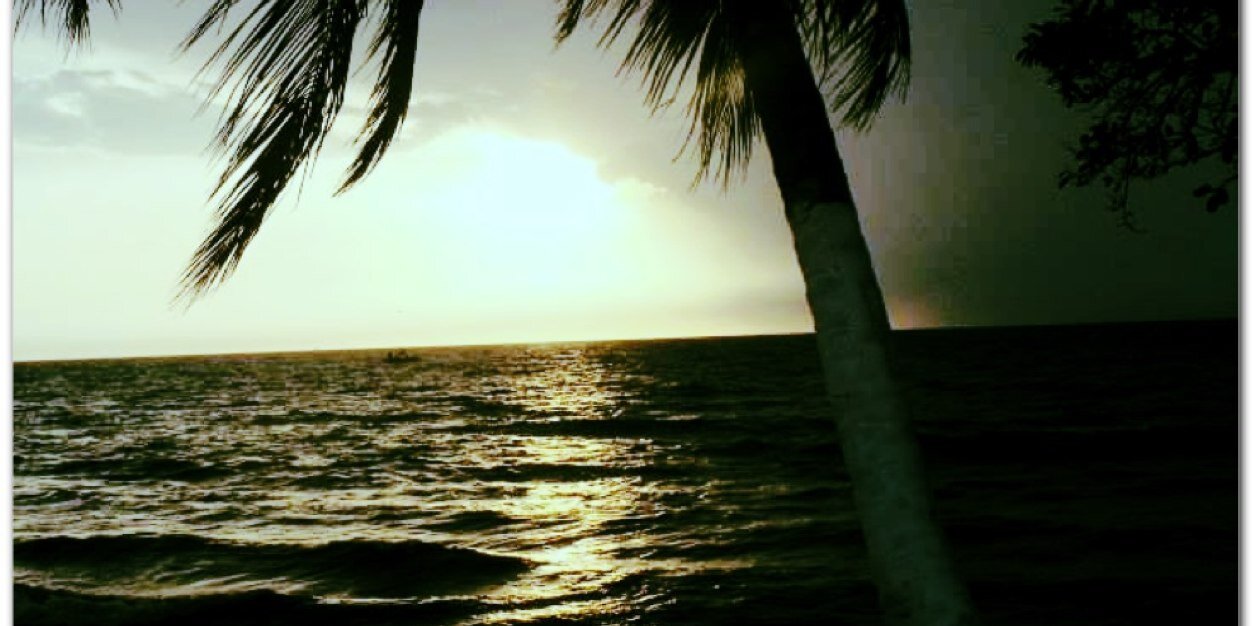 Kyca_Caba's profile banner image