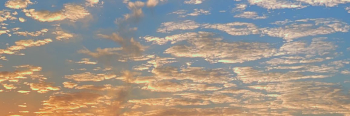 Patel16049050's profile banner image