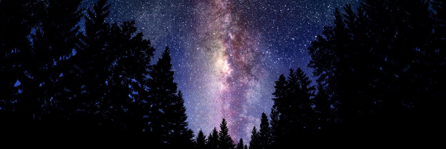 SEMSacha's profile banner image