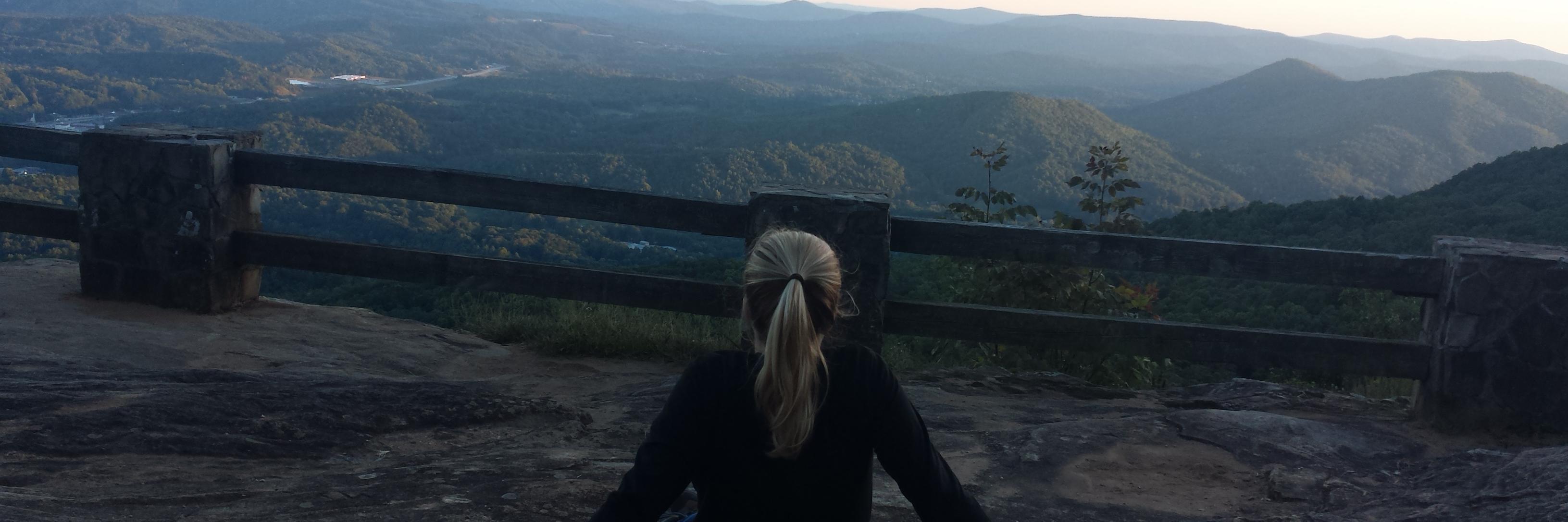 stephaniewcook's profile banner image