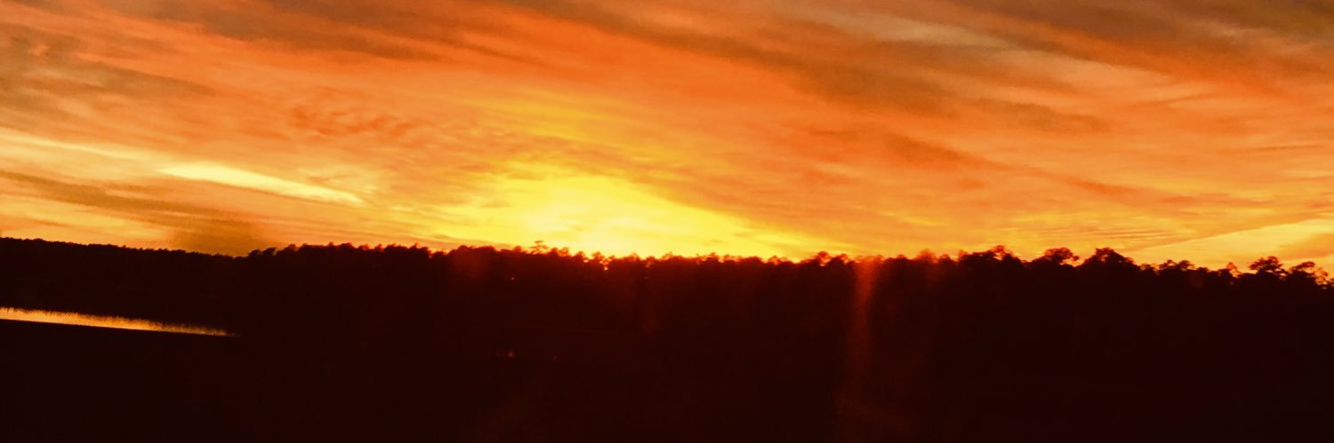 willcowley10's profile banner image
