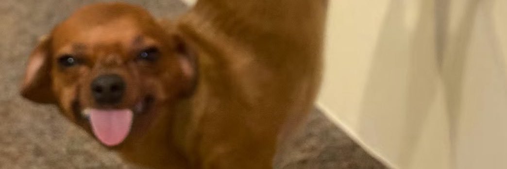 VaneMercado23's profile banner image