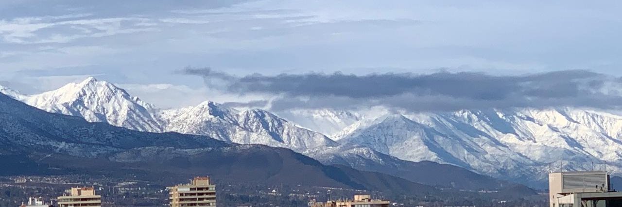 Mildred Davidson banner