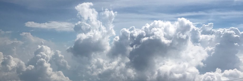 Brandon_Walshh's profile banner image