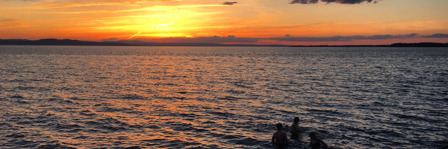 hnfishy's profile banner image