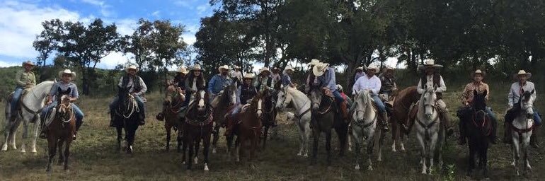 jossnavarroa's profile banner image