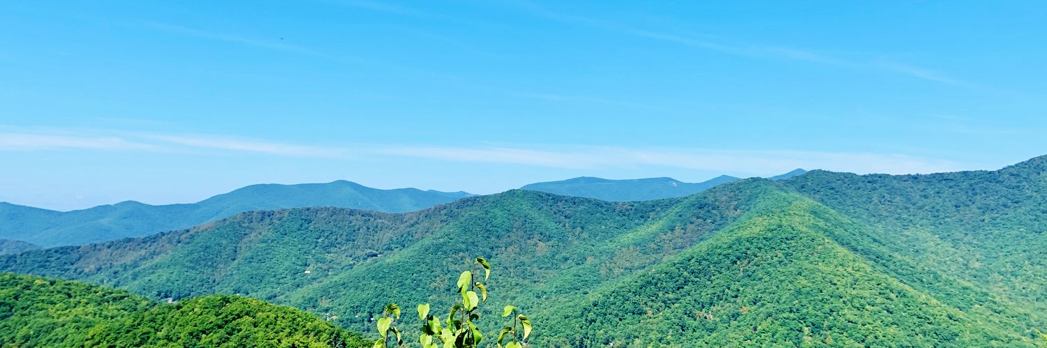 haley_patton's profile banner image