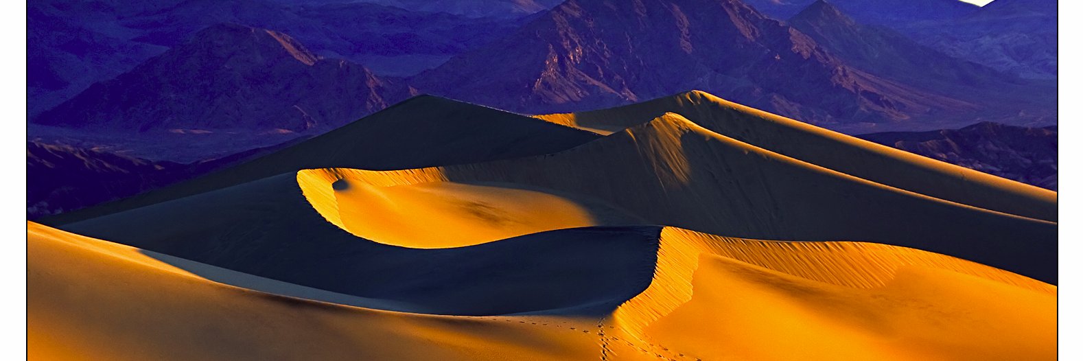 indranil_leo's profile banner image