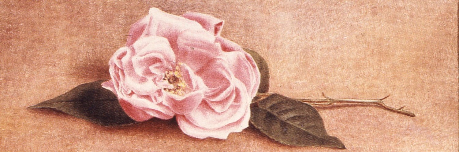 IceCreamVisions's profile banner image