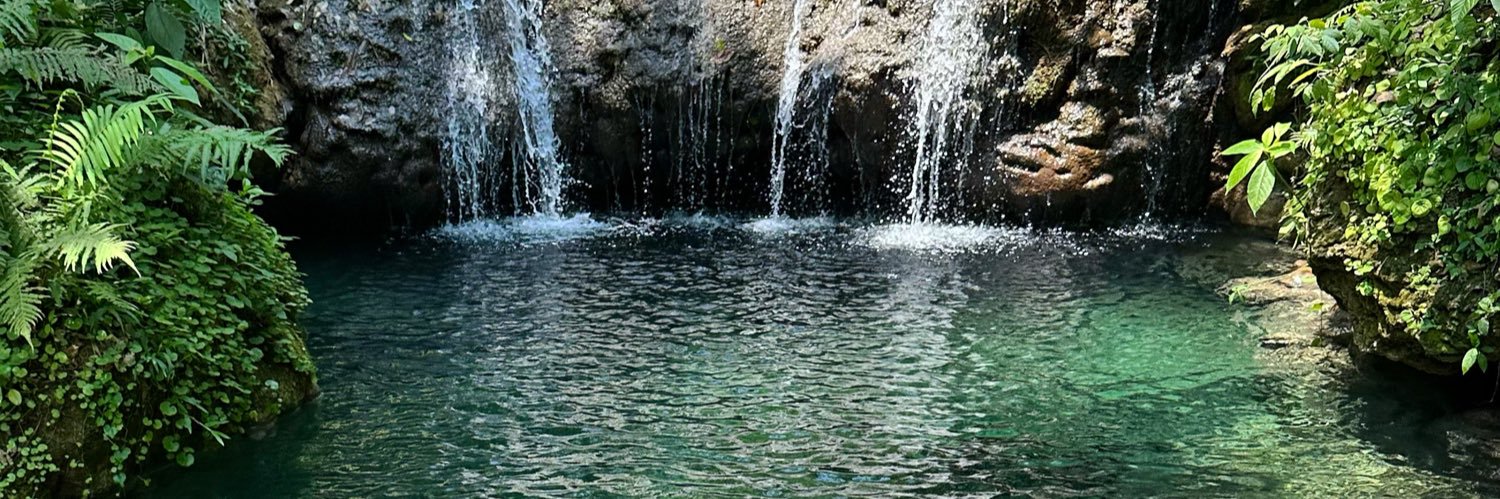 laraferrez's profile banner image