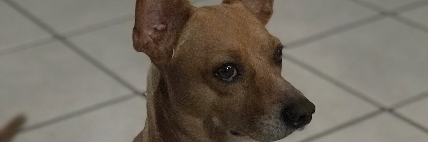 AngieContrerasL's profile banner image
