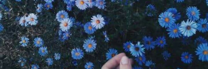 121Rouse's profile banner image