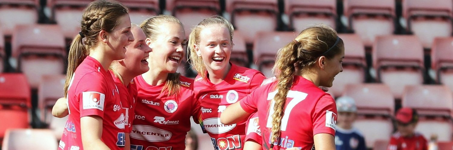 fridabrahamsson's profile banner image