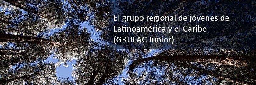 GRULACJunior's profile banner image