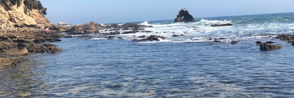 AngelaMinutillo's profile banner image