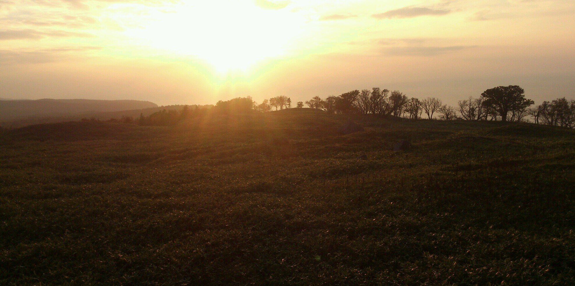 dada___11's profile banner image