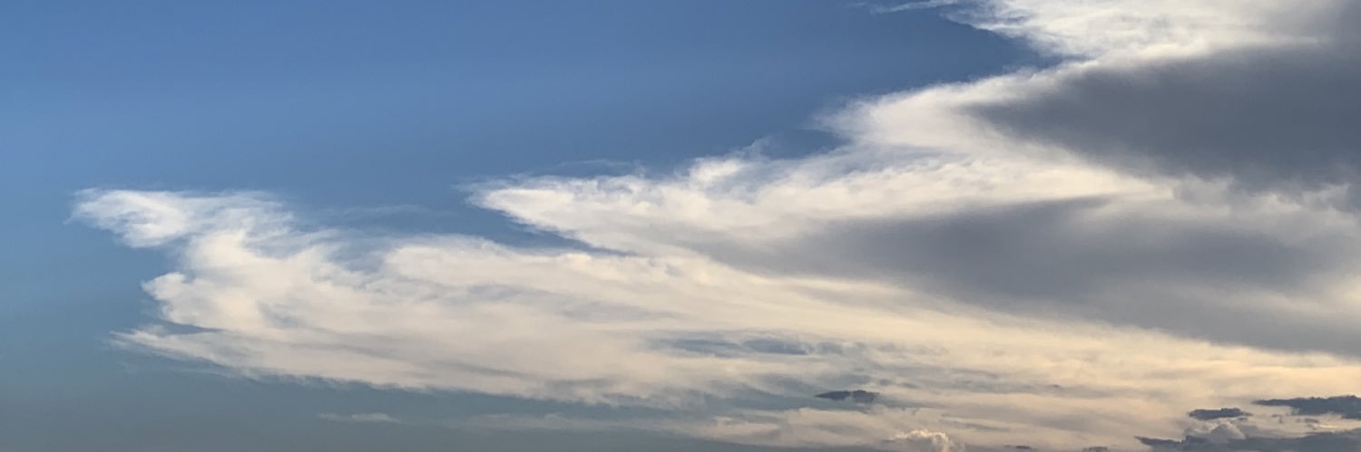 YKJunko's profile banner image