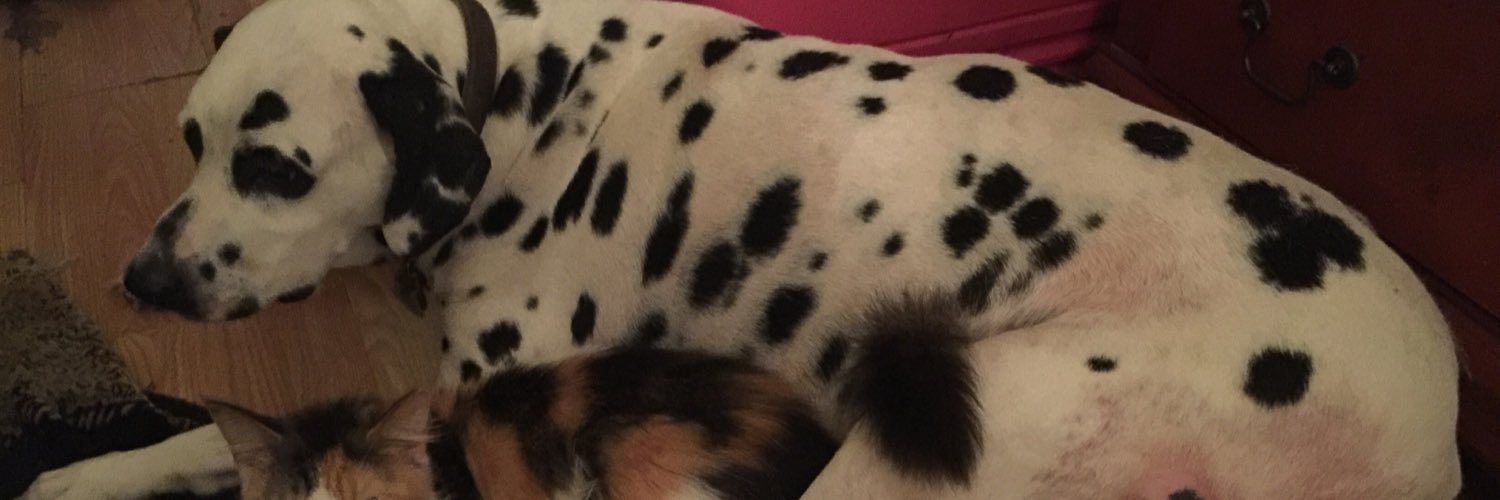 Philip R. McLaughlin banner