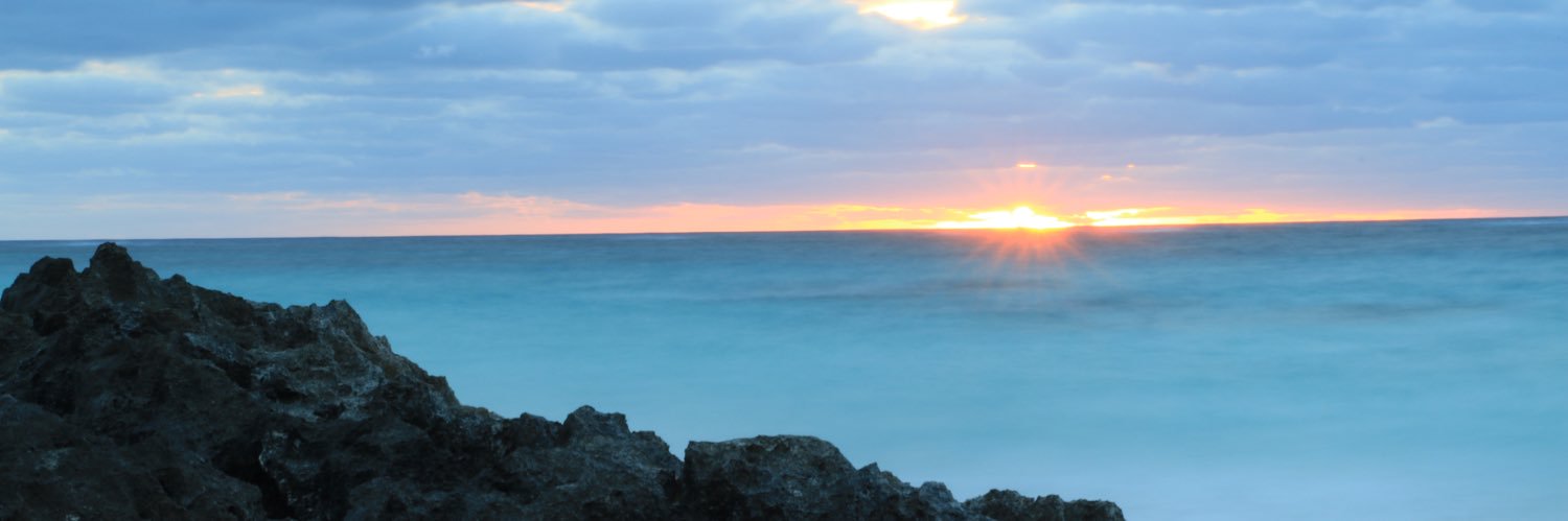 vanessaboulos's profile banner image