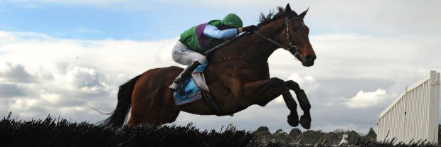 Steven Pateman banner