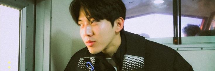 hanin🐾 banner