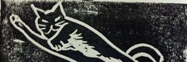 CURIOUS_CORNERS banner