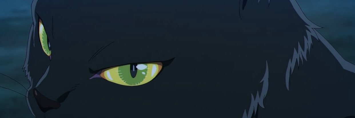 tinyleep's profile banner image