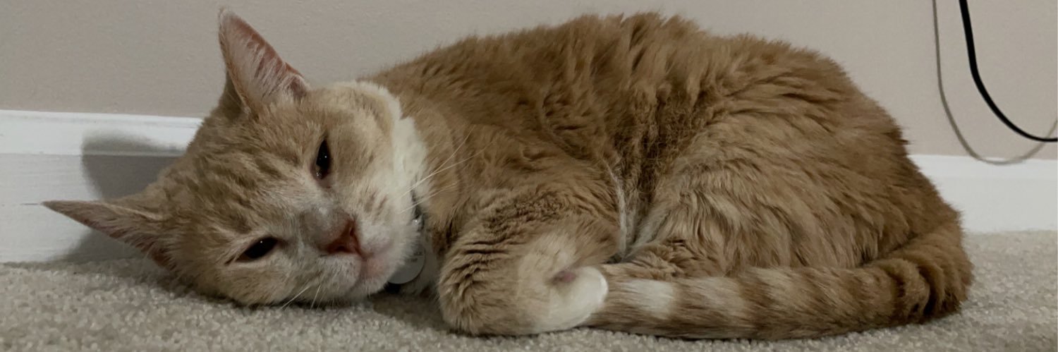 casey_laneee's profile banner image