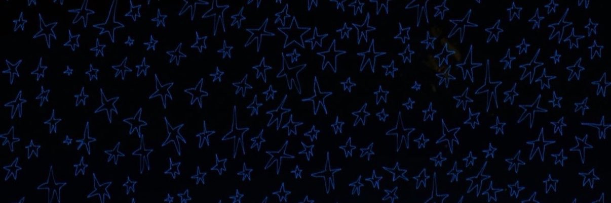 evelynadme's profile banner image