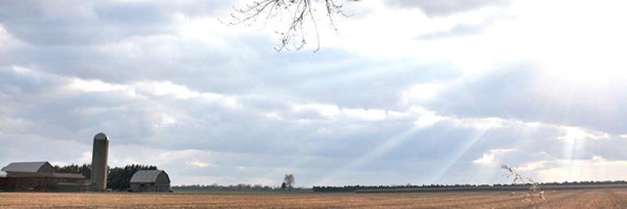 Chatham Daily News banner