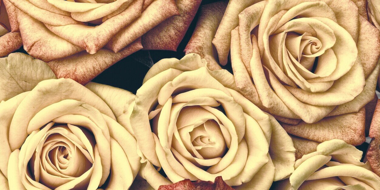 Stylishlords's profile banner image