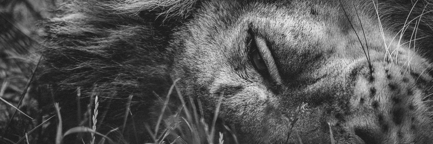 jacintomagallan's profile banner image
