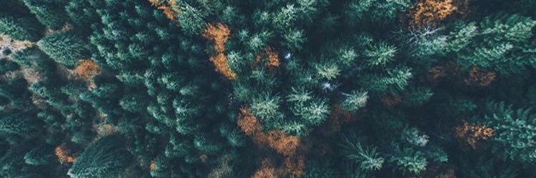Parsnick_'s profile banner image