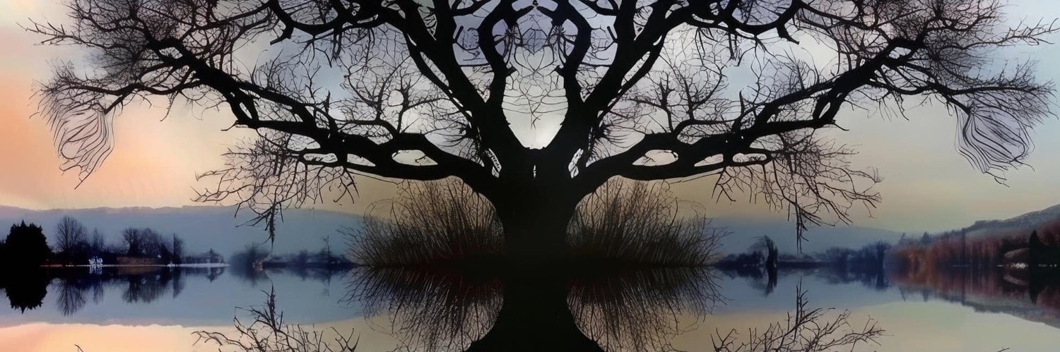 irisWi26's profile banner image