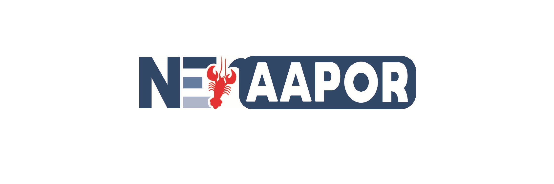 New England AAPOR banner