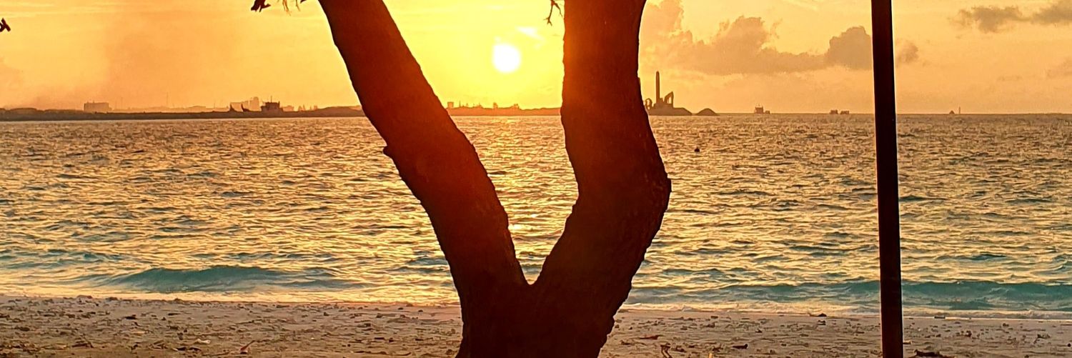ahmedriyax's profile banner image