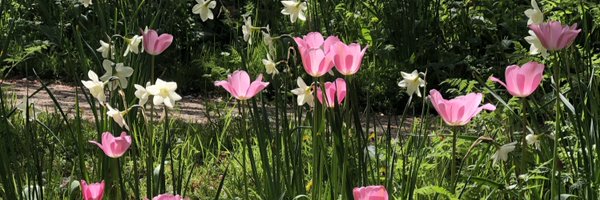 rachskinner1 Profile Banner